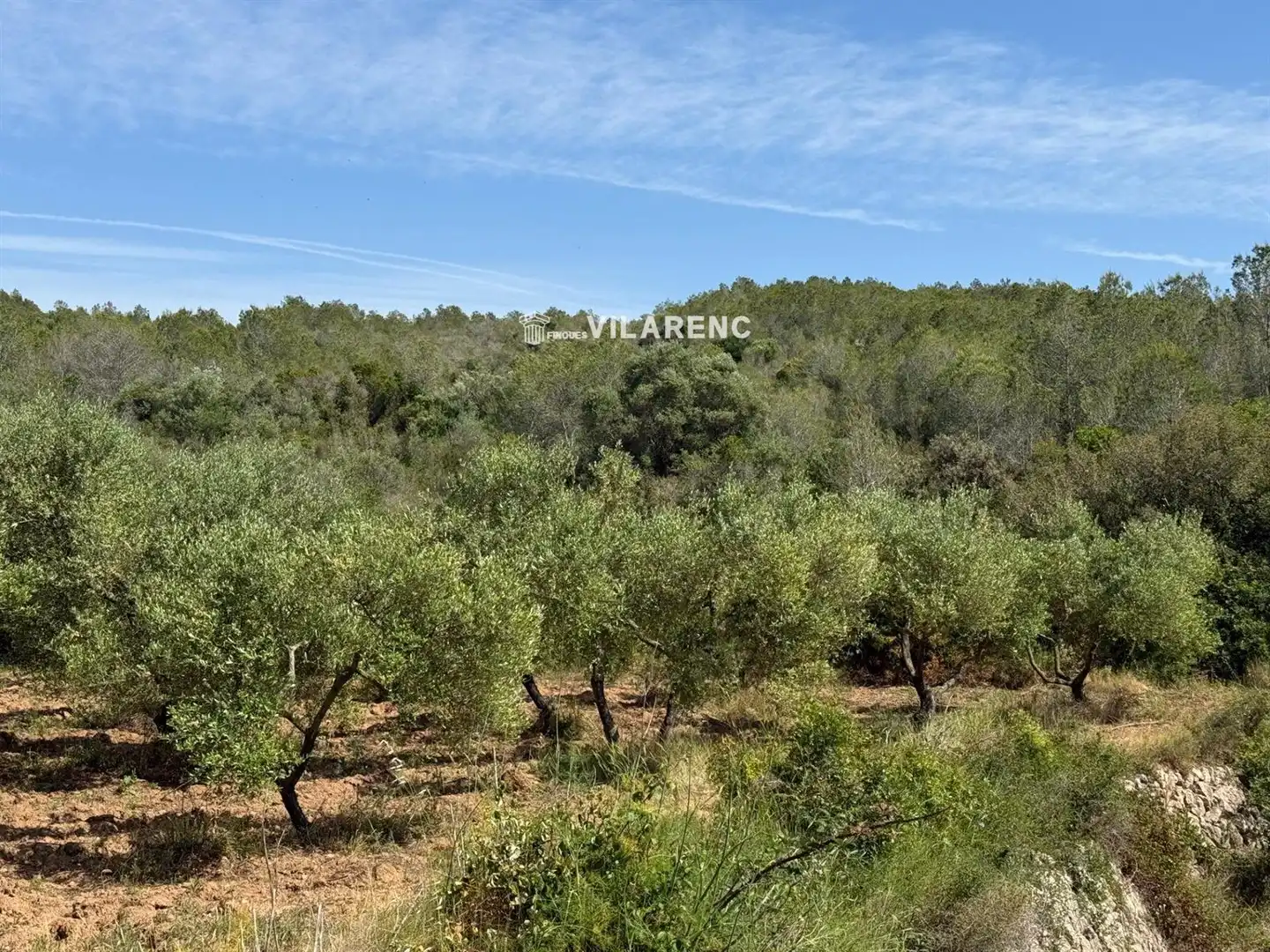 Rural land for sale in Massos de Vespella, imagen 23