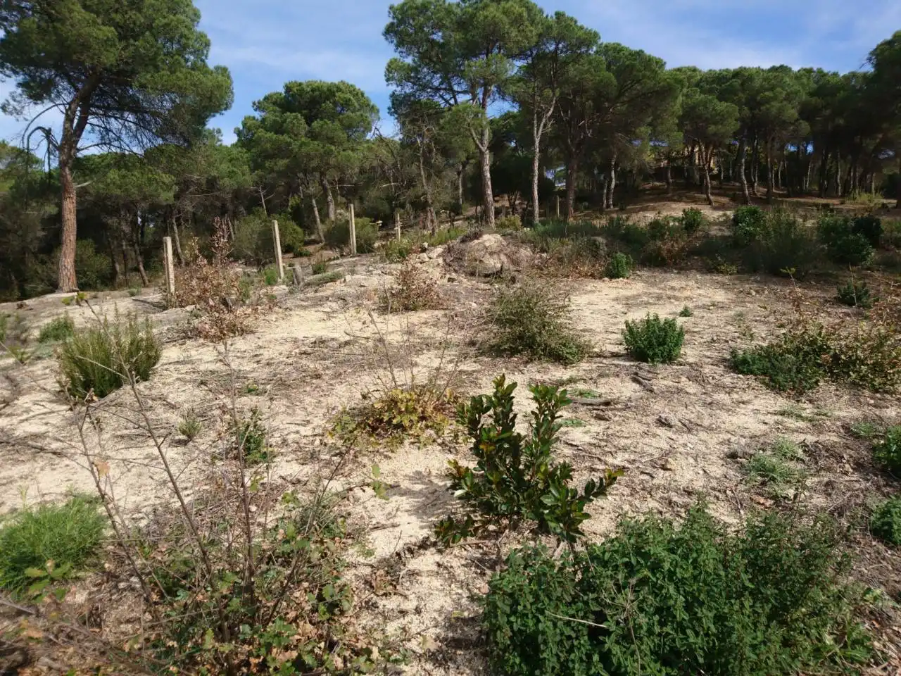 Terreny residencial en venda a Vilanova del Vallès, imagen 21