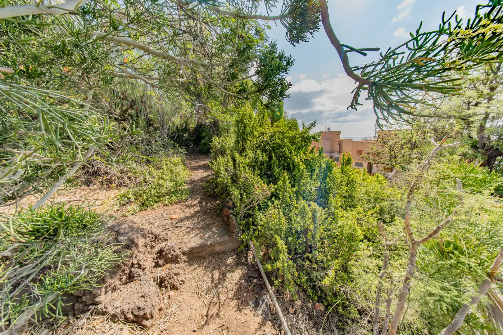 Casa o xalet en venda en Santa Cruz de Tenerife amb Jardí privat, Terrassa i Piscina