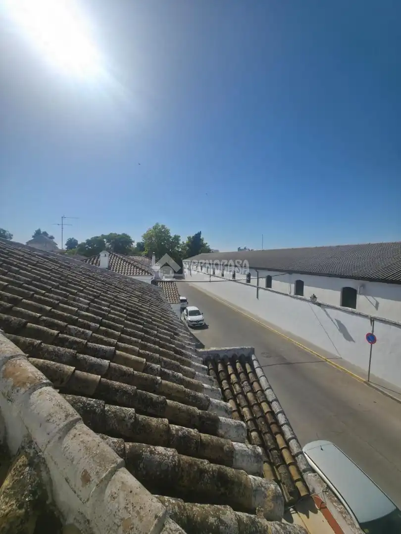 Vista exterior de Casa o chalet en venta en Montilla con Aire acondicionado y Terraza