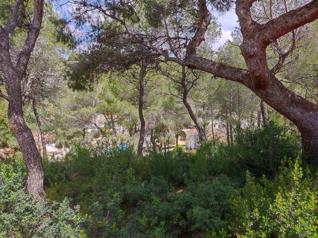 Terreno residencial en Venta en Paichi