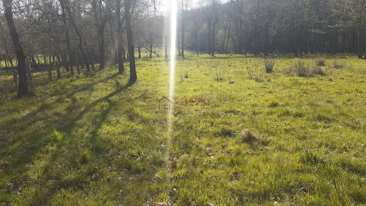 Terreni e lotti in vendita a Paderne de Allariz, imagen 5