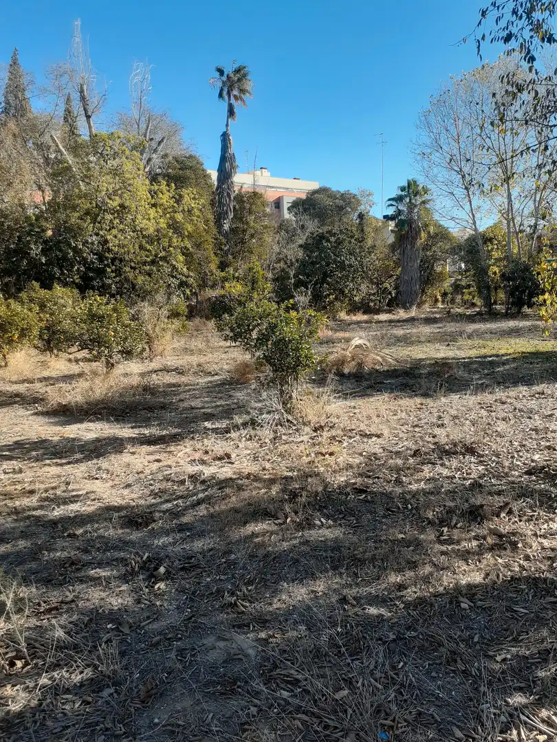 Casa o xalet en venda en Almazora / Almassora amb Jardí privat, Terrassa i Moblat