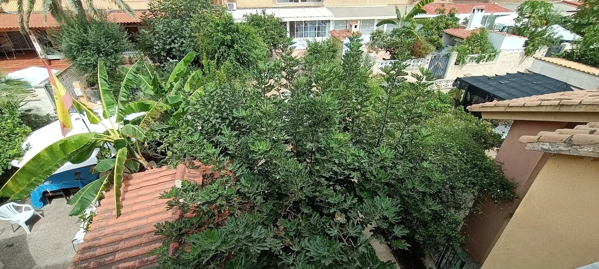 Bungalow avec terrasse à vendre à Juzgados - Plaza de Toros, imagen 26