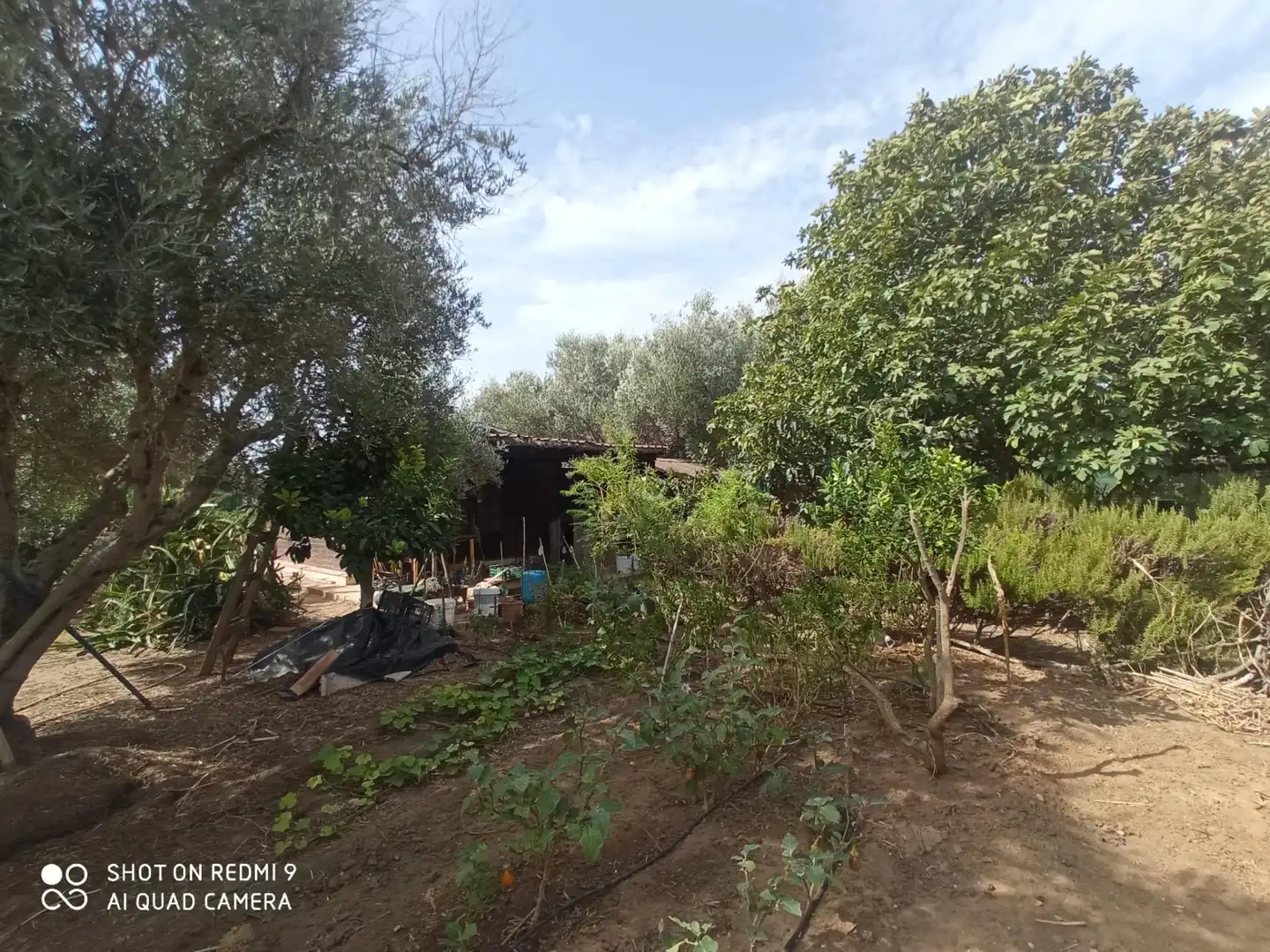 Casa o xalet en venda en Puerto Real amb Jardí privat, Piscina i Alarma