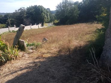 Terrenos y solares en venta en Meis