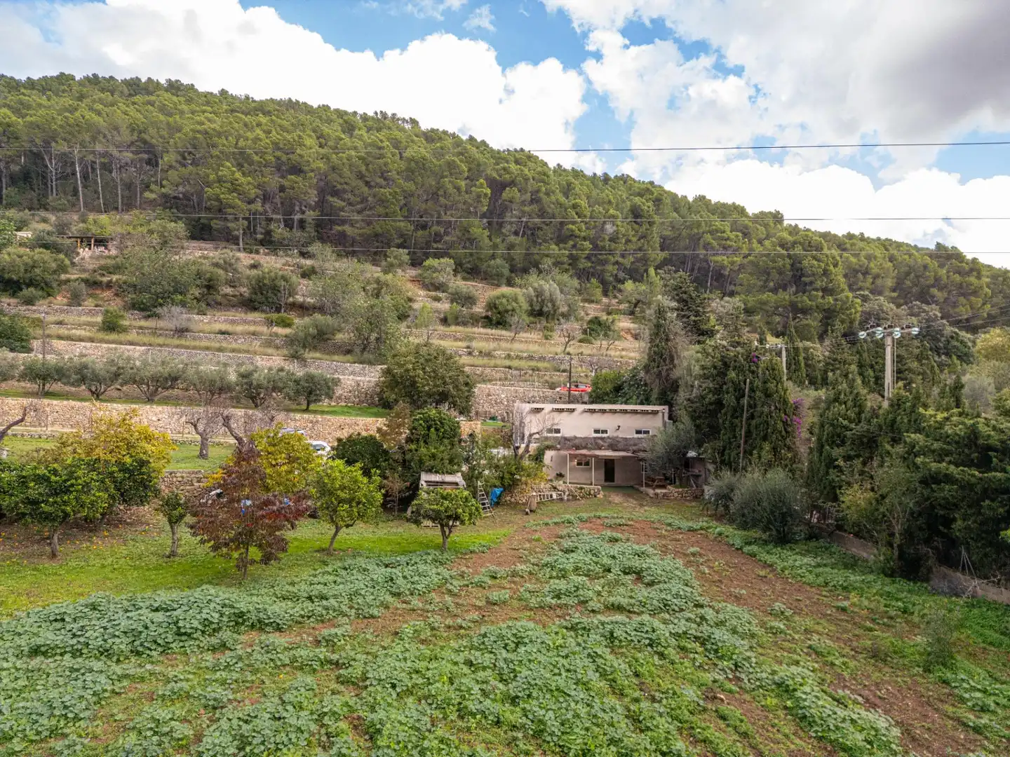 Country house with garden for sale in Costa de son Trias 1, imagen 39