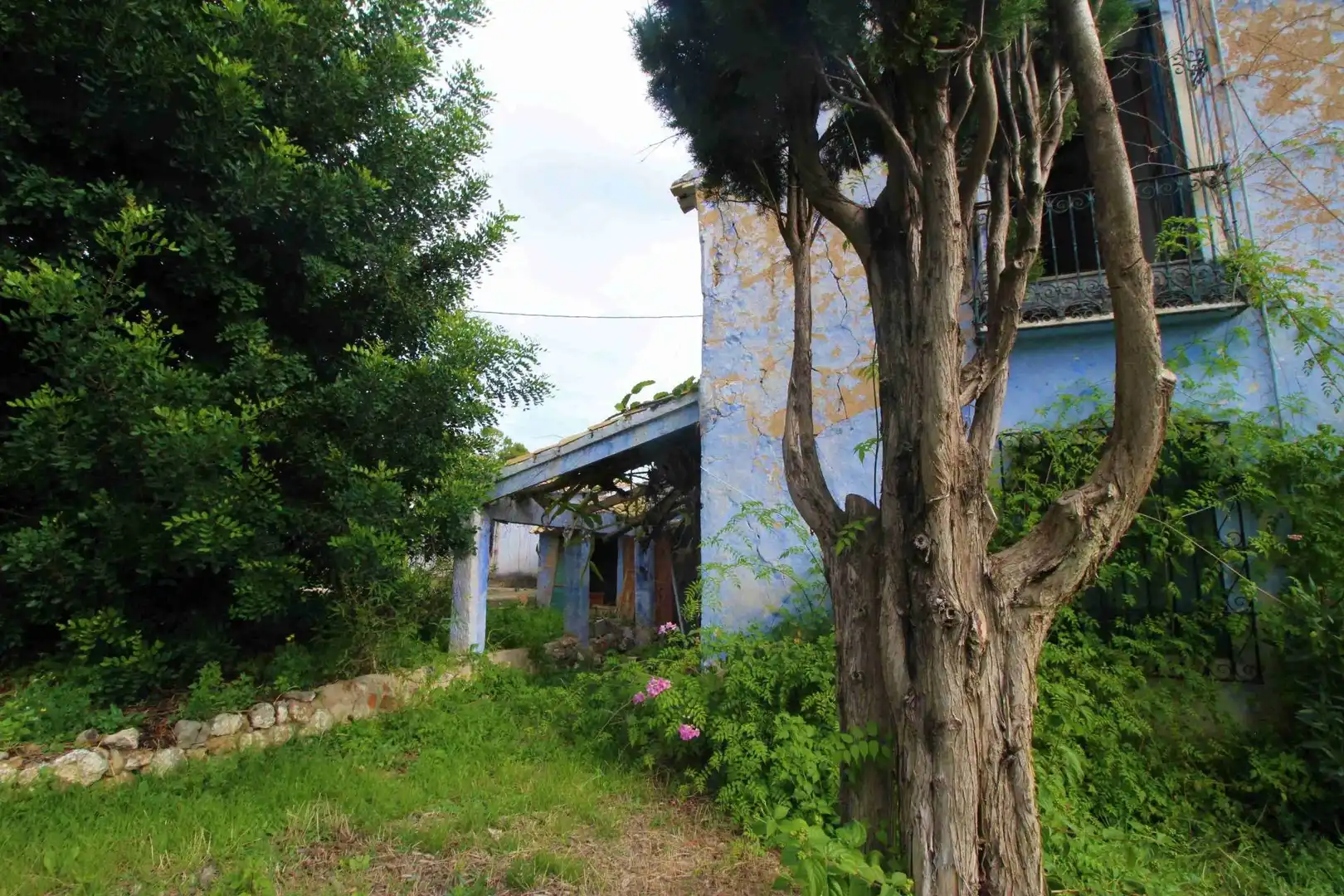 Terreny rústic en venda a L'Olla, imagen 25