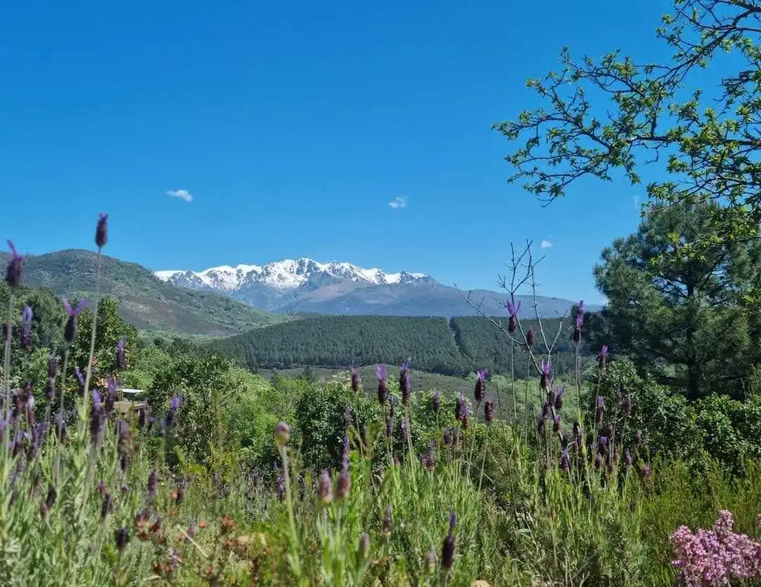 Terreni e lotti in vendita a Villanueva de la Vera, imagen 4
