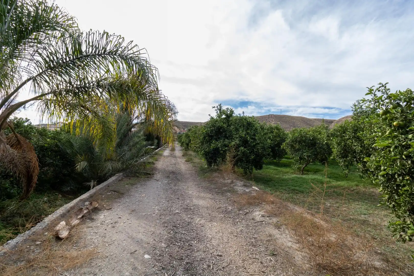 Land for sale in Santa Fe de Mondújar