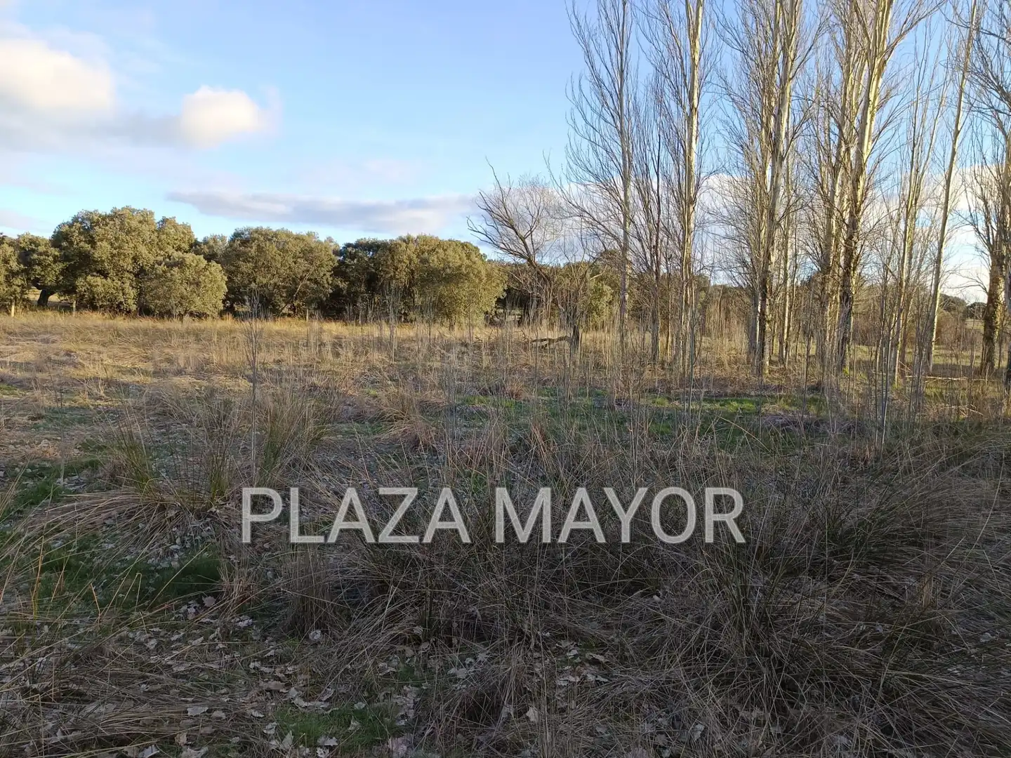 Rural land for sale in Calvarrasa de Arriba, imagen 5