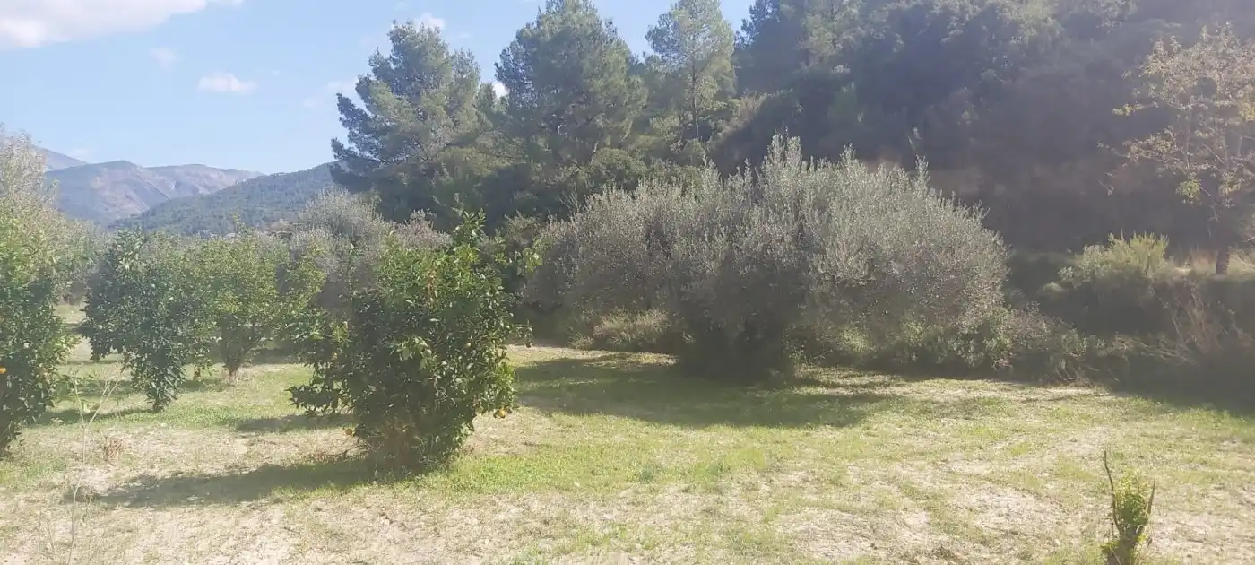 Terrenys i solars en venda a Relleu, imagen 13