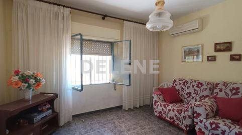 Foto 3 de Finca rústica en venda a Hellín, Albacete