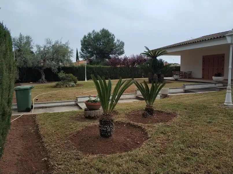 Jardí de Casa o xalet en venda en Castellón de la Plana / Castelló de la Plana amb Aire condicionat, Calefacció i Jardí privat