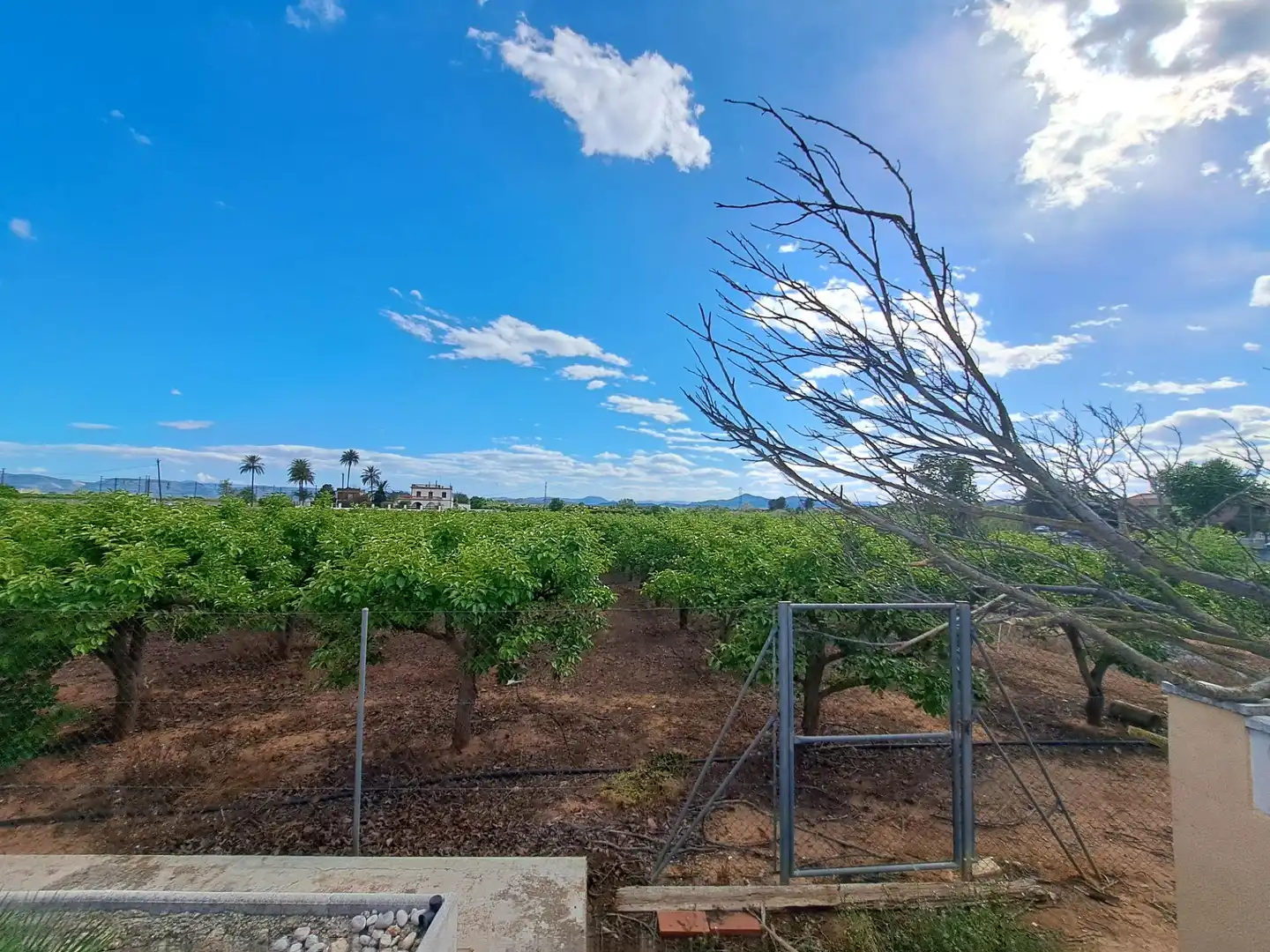 Finca rústica en venta en La Pobla Llarga con Jardín privado, Terraza y Trastero
