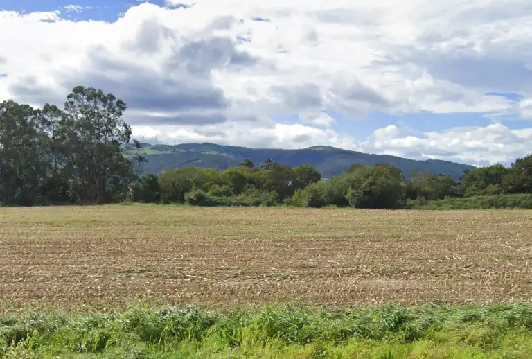 Grundstücke und Bauplätze zum Verkauf in Los Pulpinos, imagen 9