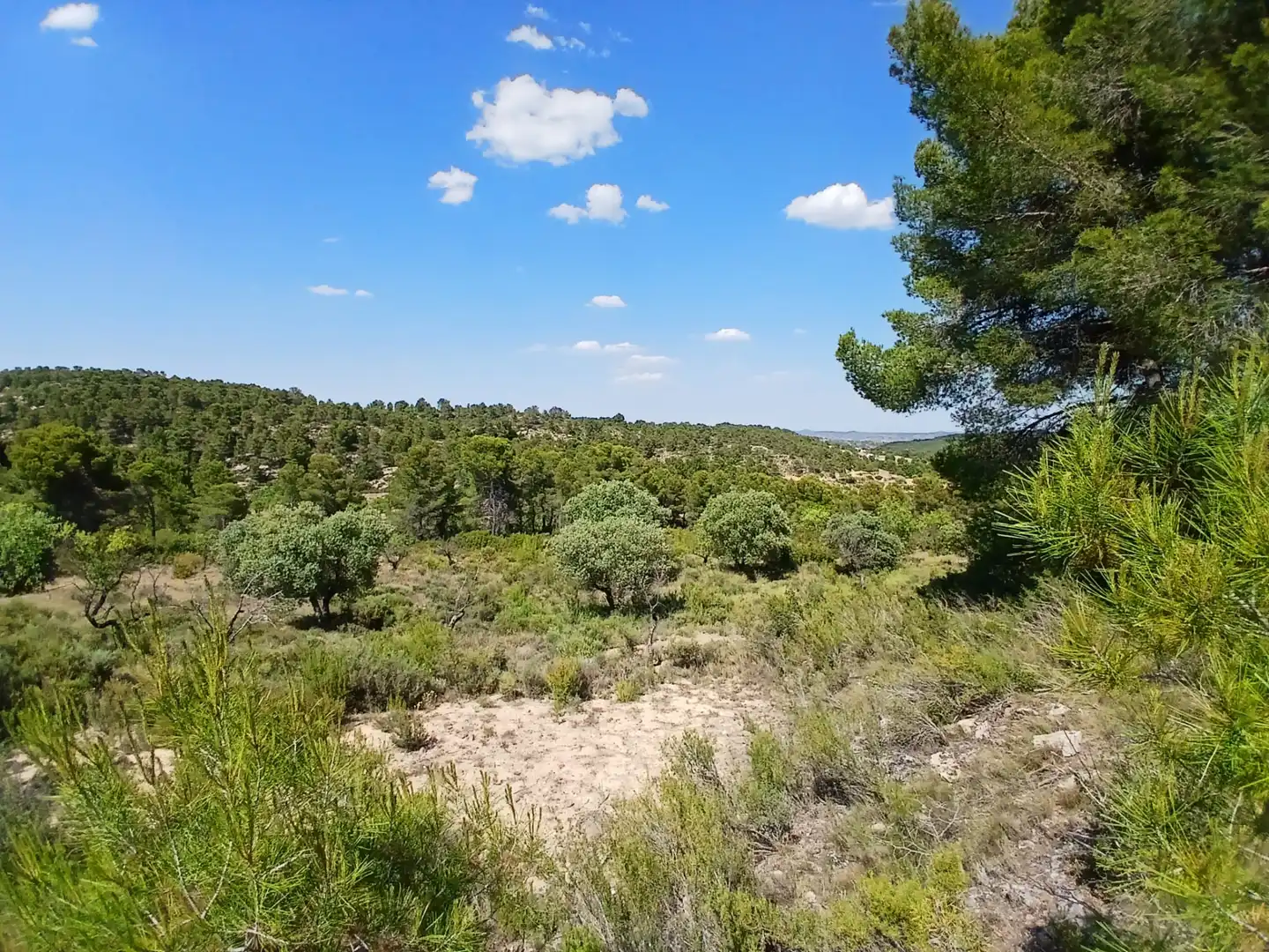 Terreni e lotti in vendita a Mazaleón, imagen 5