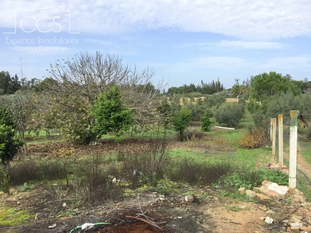 Country house with pool for sale in Almonte ciudad, imagen 24