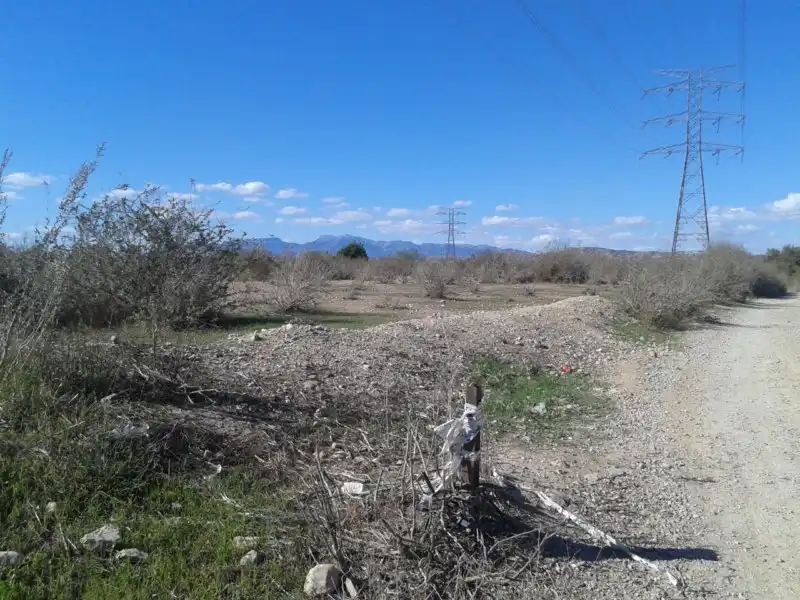Terreny rústic en venda a Cm Paso de los Carros, imagen 6