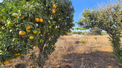 Foto 4 de Casa o chalet en venta en Las Lagunas - Campano, Chiclana de la Frontera