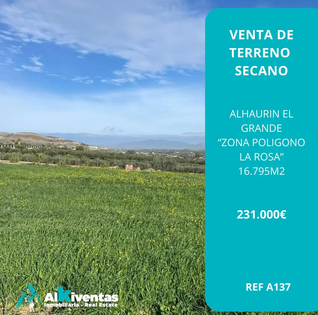 Rural land for sale in La Rosa