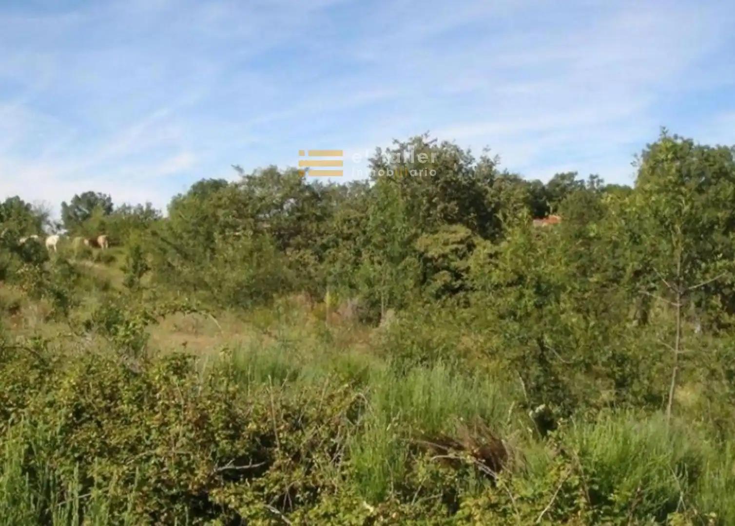 Terrains et parcelles à vendre à Rincón de la Condesa, imagen 6