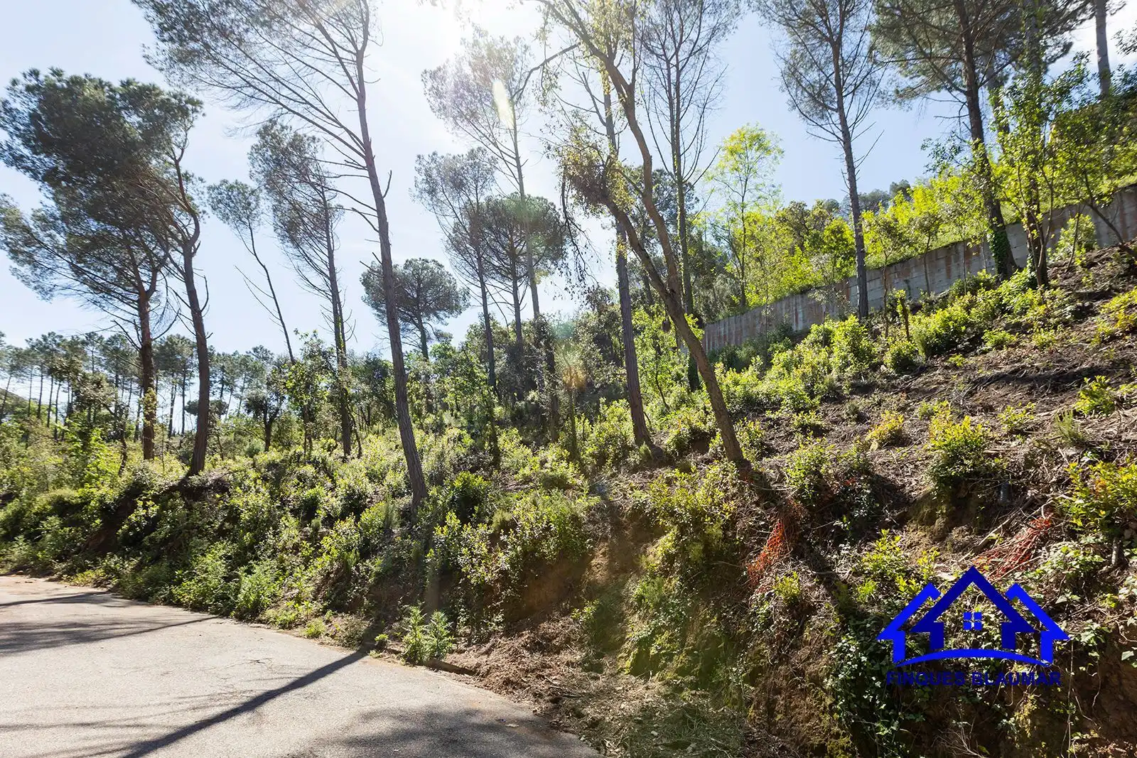 Lands and plots for sale in Vallgorguina, imagen 9
