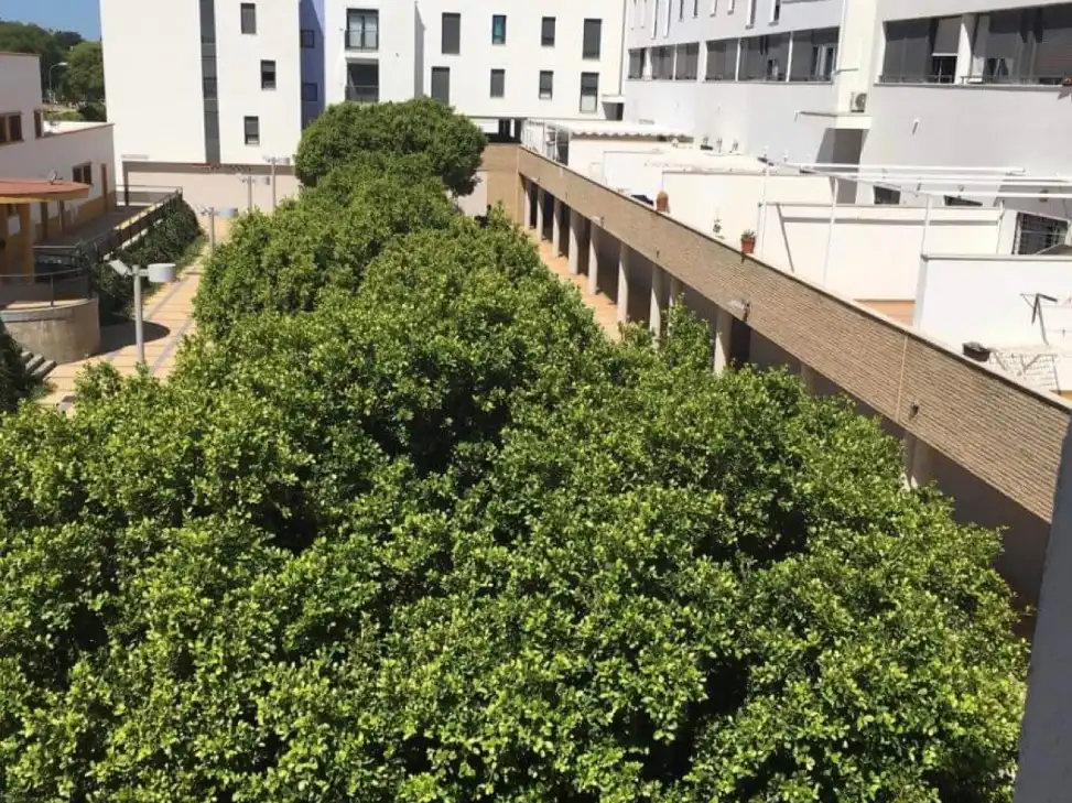 Wohnung mit Pool zum Verkauf in Calle Estadio 2, imagen 30