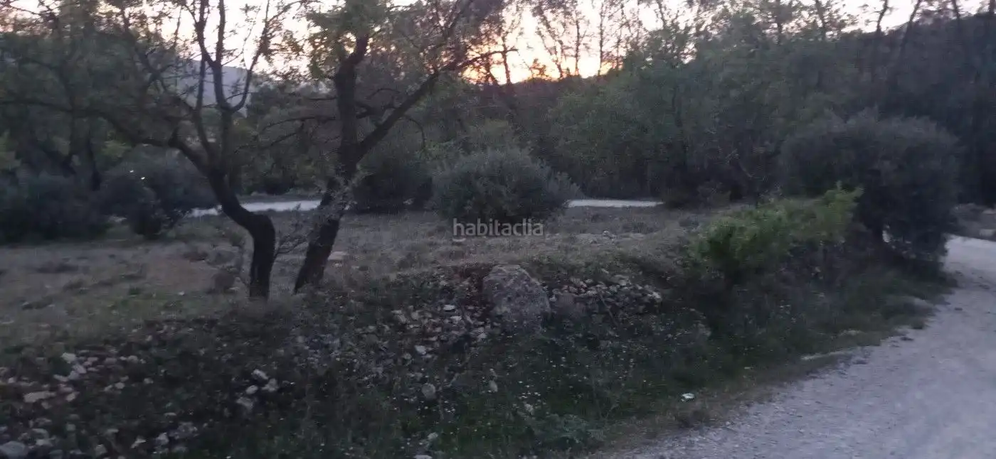 Pis en venda a JV-7011 85, imagen 7