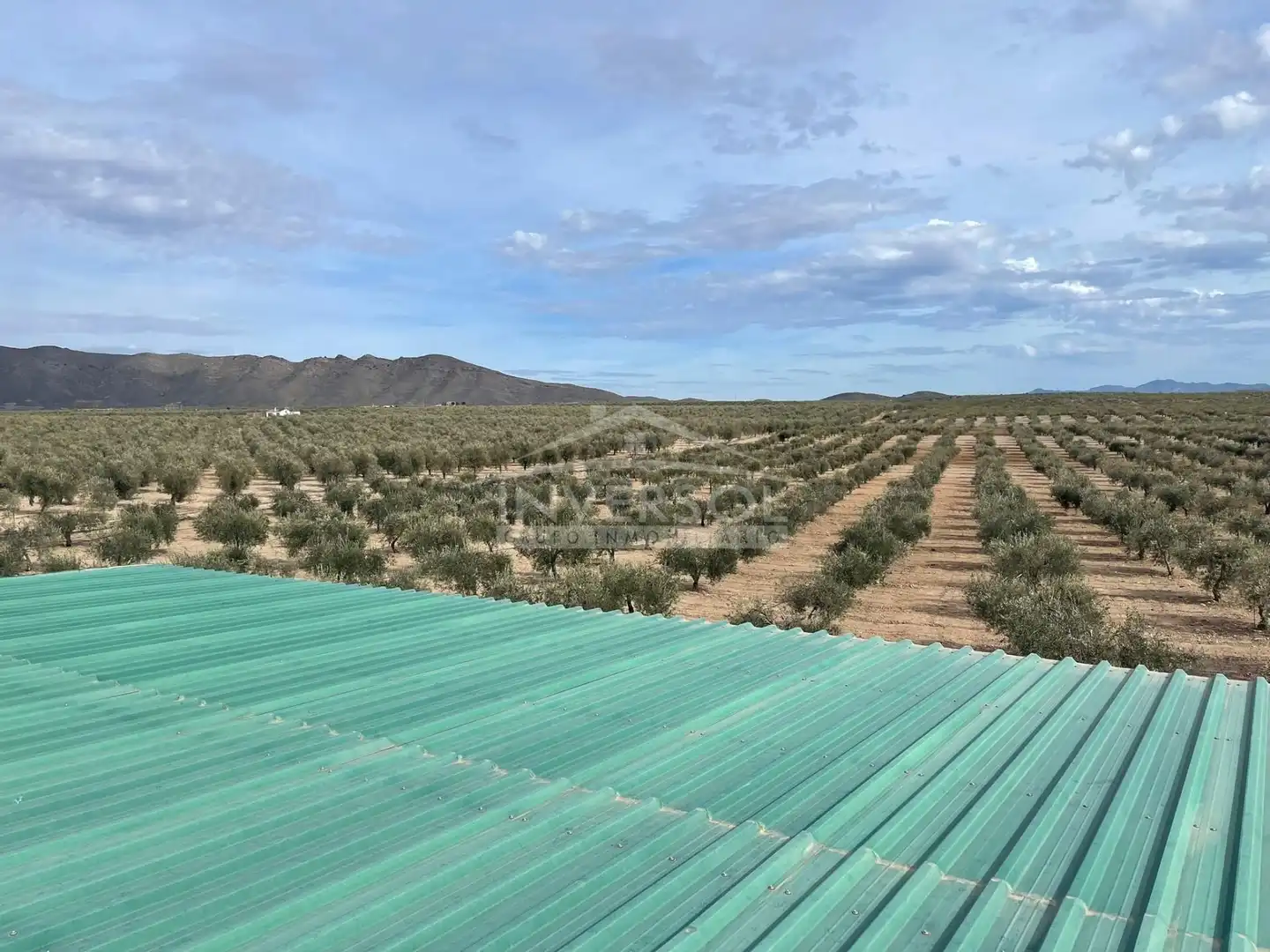 Terreno en venta en Uleila del Campo