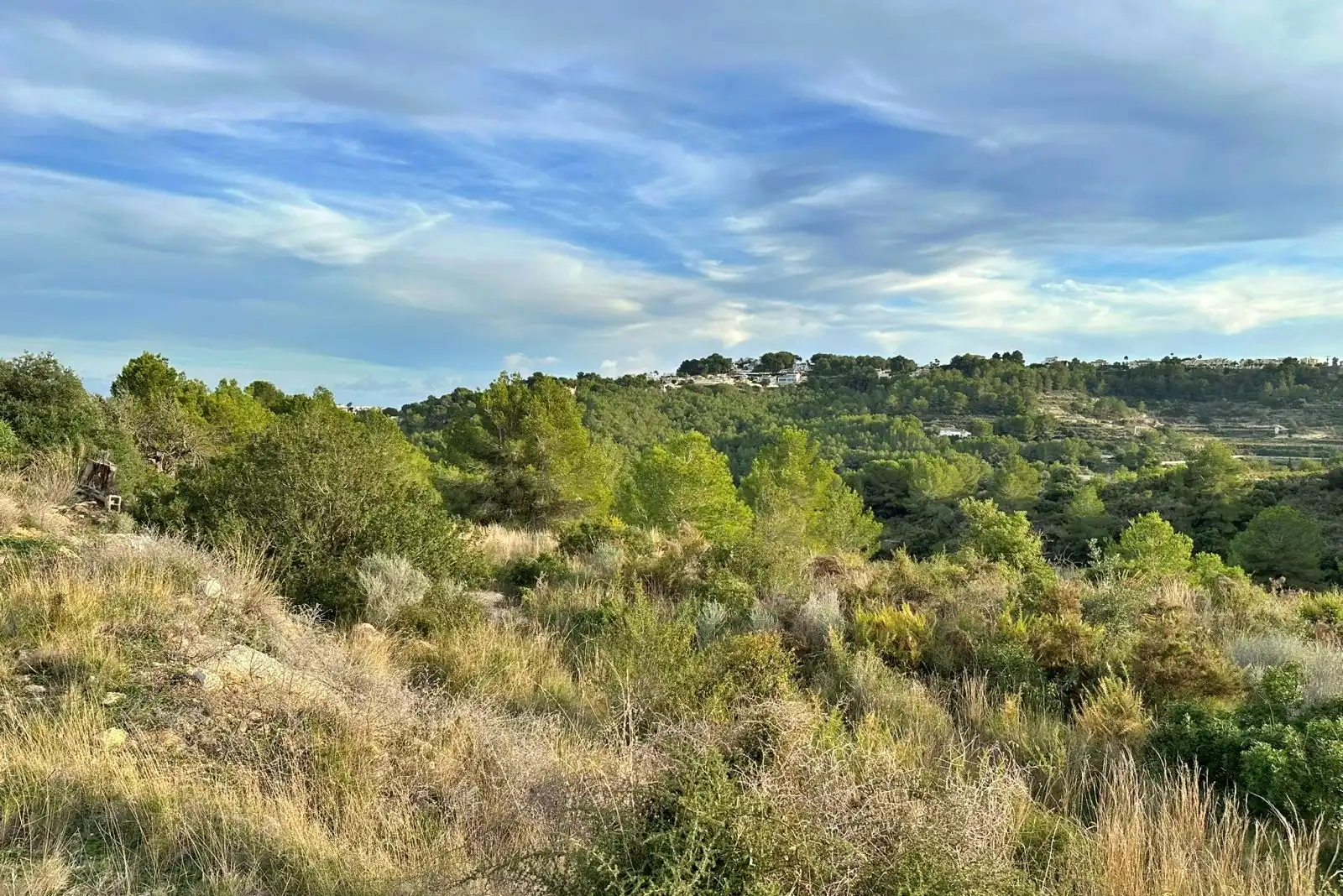 Terreno residenziale in vendita a Teulada, imagen 3