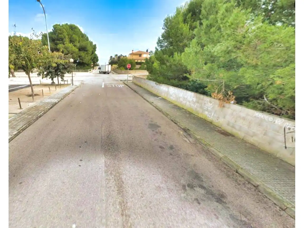 Rural land for sale in Calle mosen llorenc riber 8