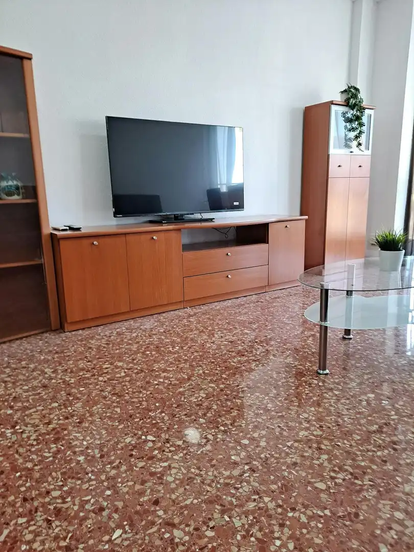 Sala de estar de Piso de alquiler en Valencia con Aire acondicionado, Calefacción y Amueblado