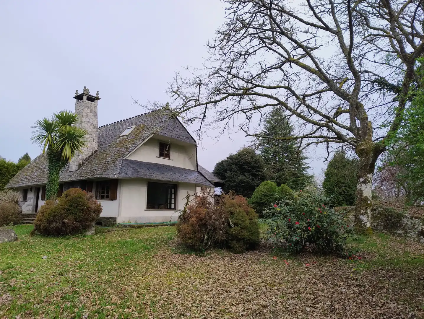 Jardín de Casa o chalet en venta en Lugo con Amueblado