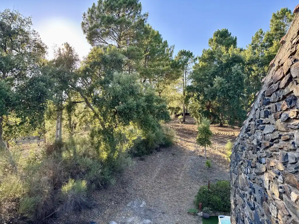 Casa rústica en venda a Valencia de Alcántara, imagen 49