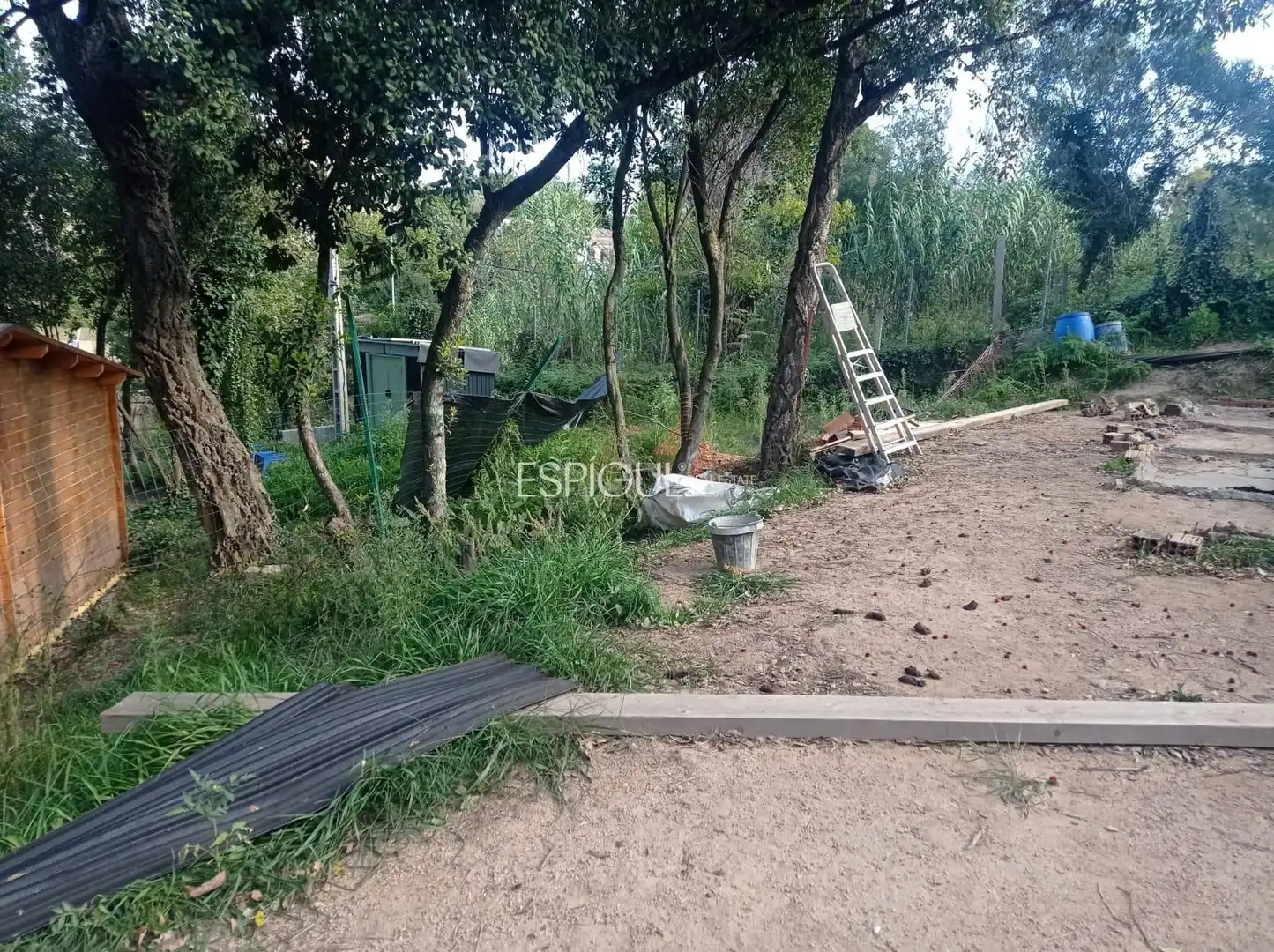 Terreno rústico en venta en Carrer Espliego, imagen 10