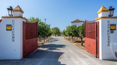Foto 4 de Finca rústica en venta en Carretera Diseminados 2, Carmona, Sevilla