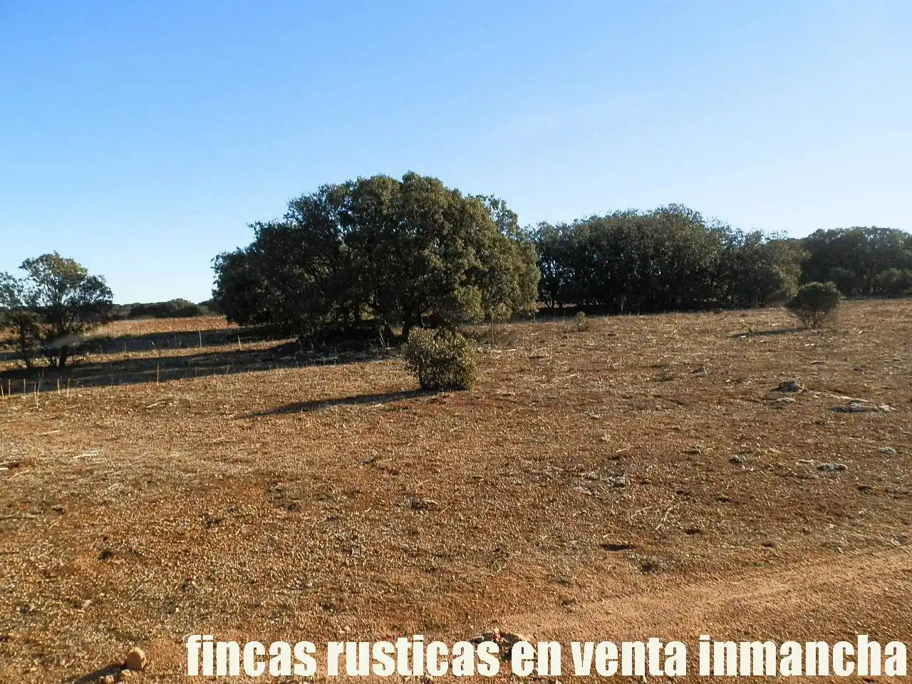 Terreni e lotti in vendita a Quintanar de la Orden, imagen 14