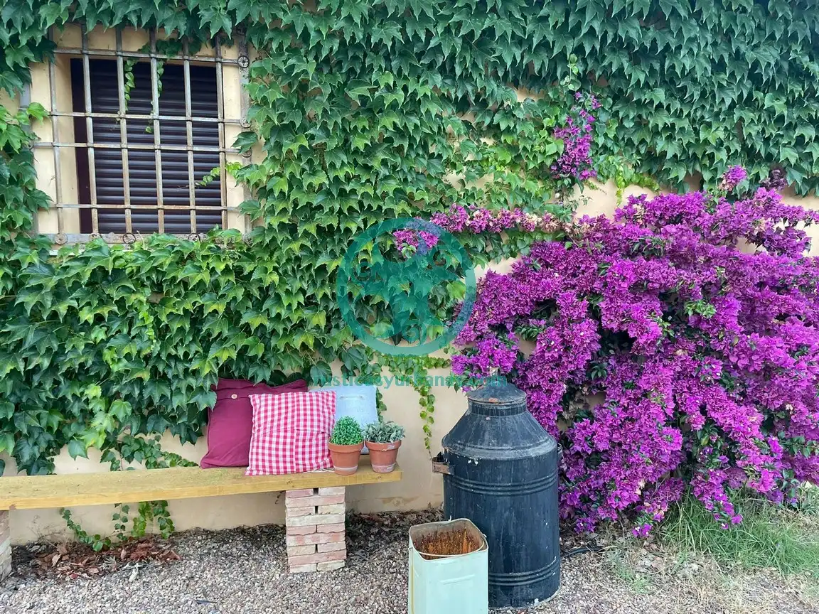 Jardín de Casa o chalet en venta en Jaraíz de la Vera