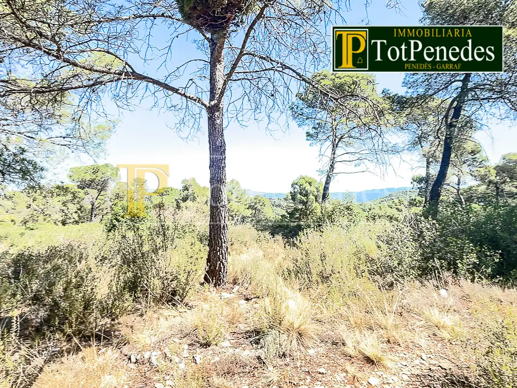 Terreny residencial en venda a Carrer Tarragona, imagen 20