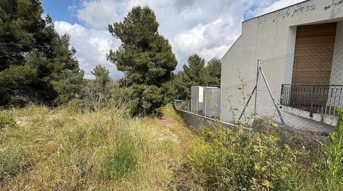 PARCELA EN SIS ESTRELLES EL CATLLAR