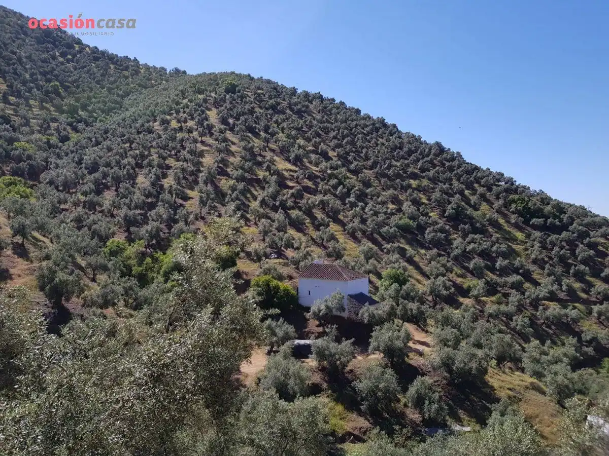 Vista exterior de Finca rústica en venta en Villanueva de Córdoba con Jardín privado, Trastero y Amueblado