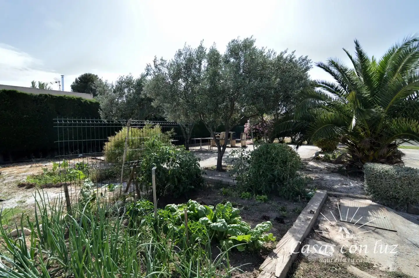Jardí de Casa o xalet en venda en Zaragoza amb Aire condicionat, Calefacció i Jardí privat