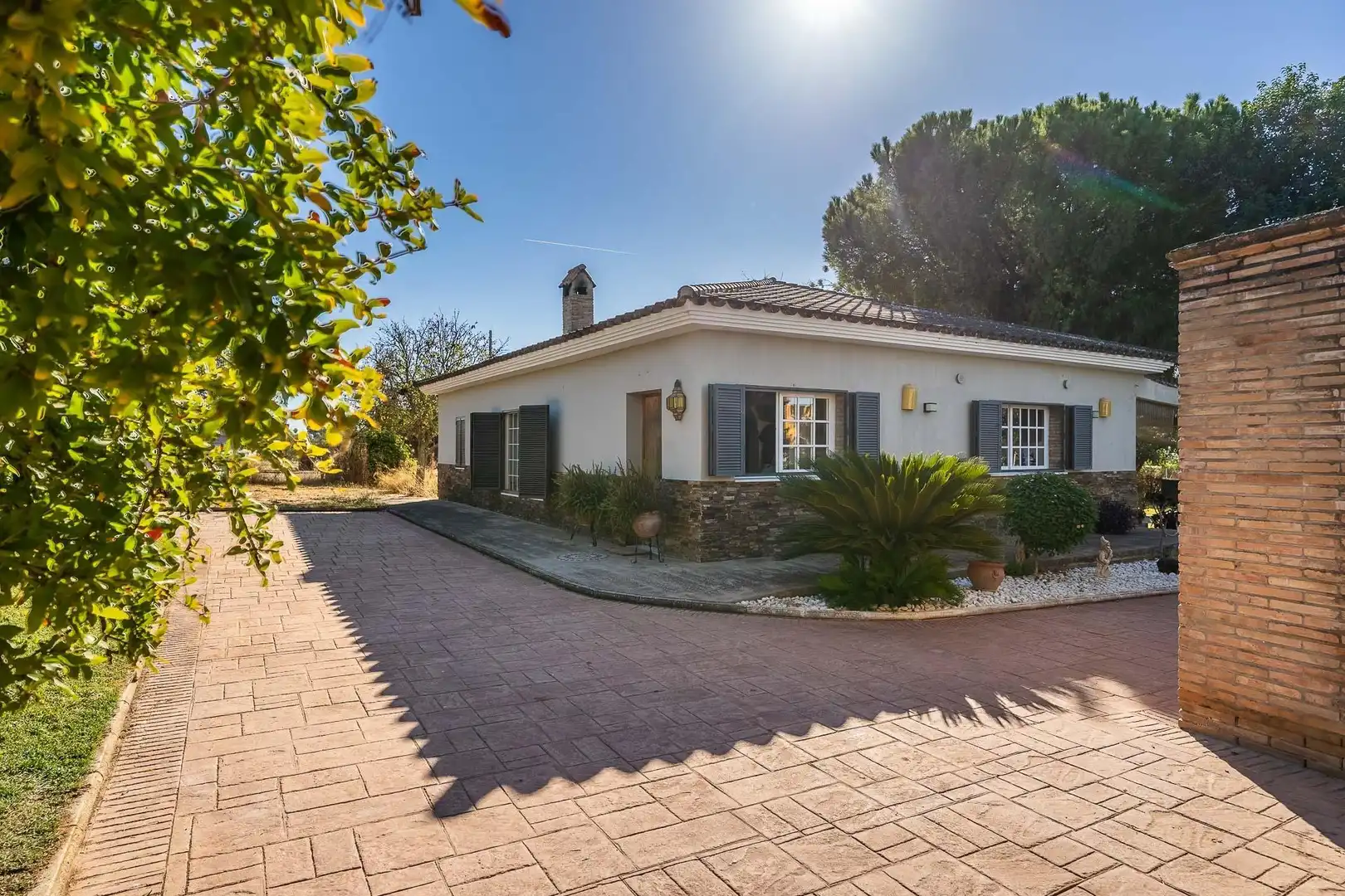 Vista exterior de Casa o xalet en venda en Mairena del Aljarafe amb Aire condicionat, Jardí privat i Traster