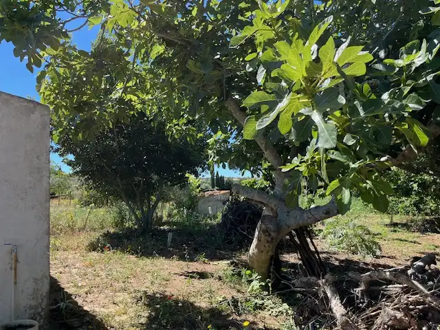 Finca rústica en venta en Vejer de la Frontera