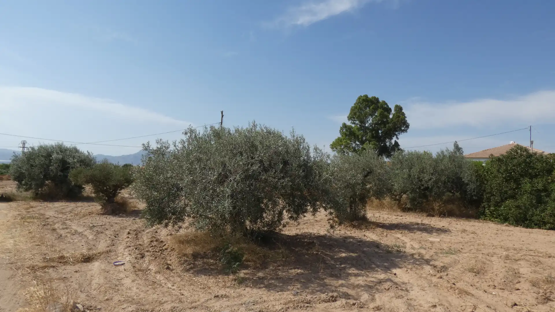 Country homes for sale in Lorca  with Air Conditioner, Heating and Terrace