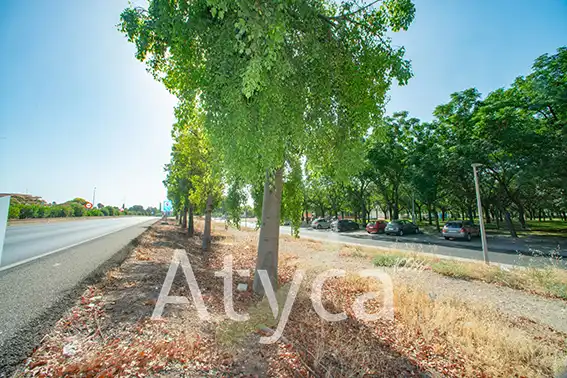 Planta baja de alquiler en Calle del Deporte, 2, Poniente-Norte - Miralbaida - Parque Azahara