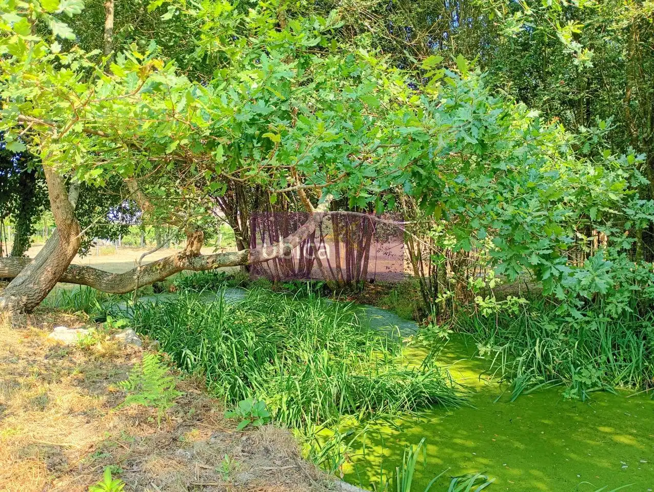 House with garden for sale in Salceda de Caselas, imagen 34