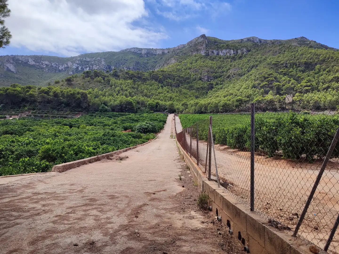 Rural land for sale in Partida de Masalari, imagen 3