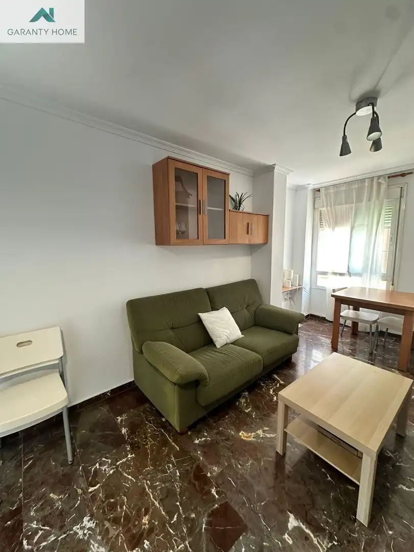 Living room of Flat for rent in Málaga  with Furnished and Balcony